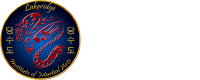 Lakeridge Family Martial Arts